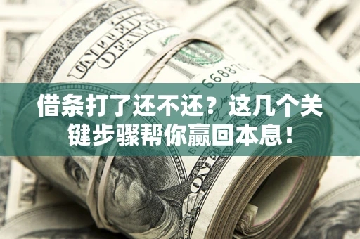 济南借条打了还不还？这几个关键步骤帮你赢回本息！