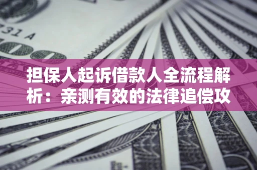 济南担保人起诉借款人全流程解析：亲测有效的法律追偿攻略
