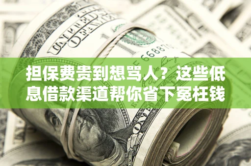 济南担保费贵到想骂人？这些低息借款渠道帮你省下冤枉钱